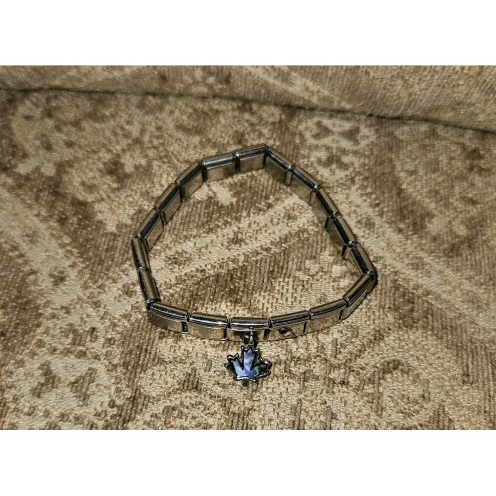 Popular italian style charm bracelet with interchangable links Stainless 3 Incl